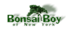 Bonsai Boy of New York Coupons