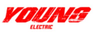 youngelectricbikes Coupons
